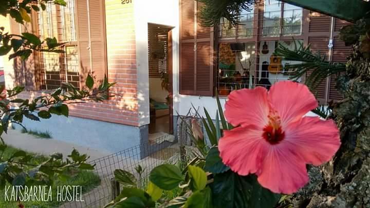 Katsbarnea Hostel Florianópolis Kültér fotó